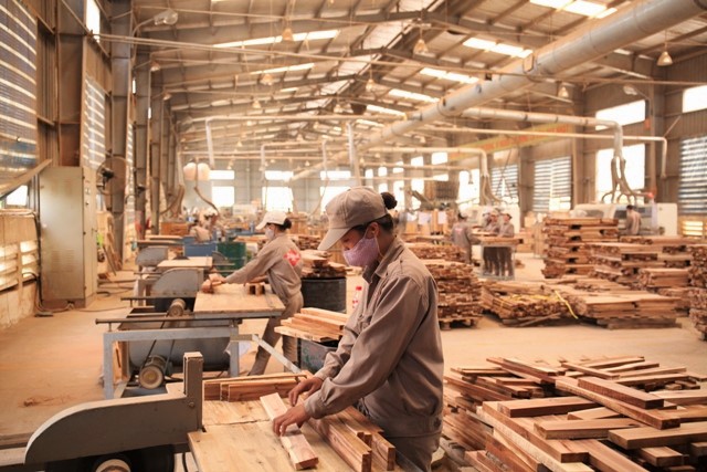 Quá trình sản xuất gỗ xinh ra nhiều loại bụi khác nhau